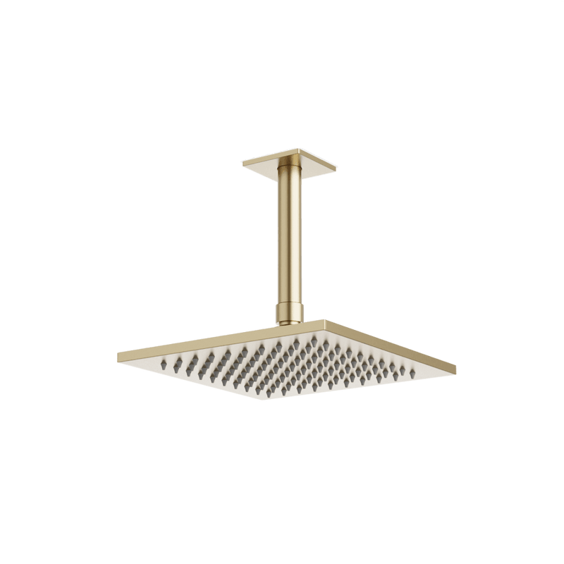 Edge 8" Rain Shower Head on Ceiling Mount Arm - Satin Brass image 1