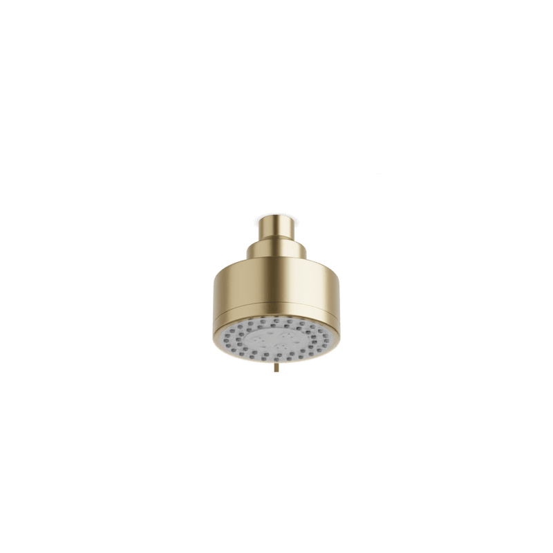 Opera Multifunction Shower Head - Satin Brass image 1