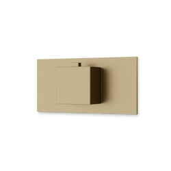 Square Thermostat Trim Kit with Letterbox Plate Artos US Satin Brass 