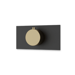 Square + Round Thermostat Trim Kit with Letterbox Plate Artos US Satin Brass/Matte Black 