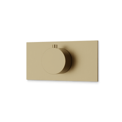 Square + Round Thermostat Trim Kit with Letterbox Plate Artos US Satin Brass 