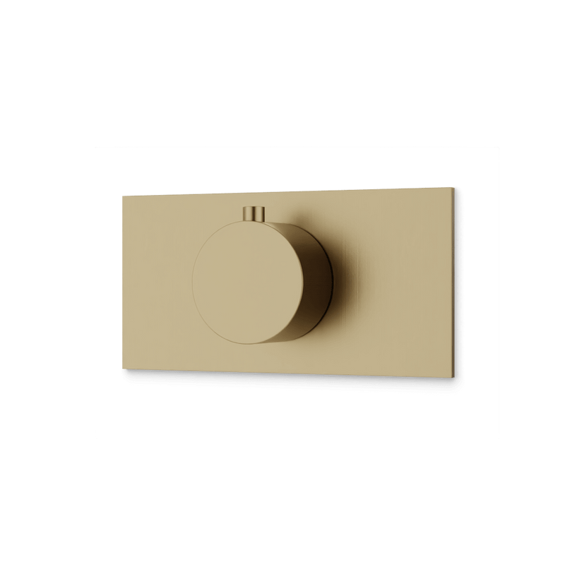 Square + Round Thermostat Trim Kit with Letterbox Plate Artos US Satin Brass 