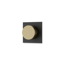 Otella Volume Control Trim Kit - Satin Brass/Matte Black thumbnail 1