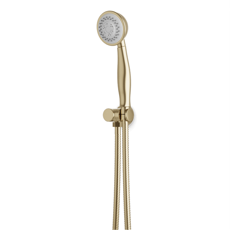 Classic Multifunction Flexible Hose Hand Shower Kit on Pivoting Hook - F907-116SB image 1