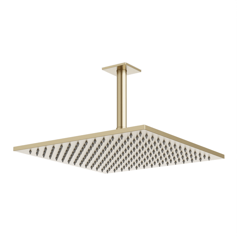 Edge 12" Rain Shower Head on Ceiling Mount Arm - Satin Brass image 1