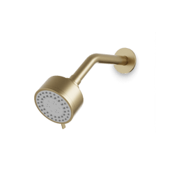 F907-43 - Round Multifunction Shower Head on Angled Arm Artos US Satin Brass 
