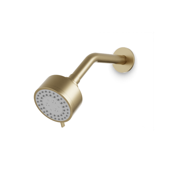 F907-43 - Round Multifunction Shower Head on Angled Arm Artos US Satin Brass 