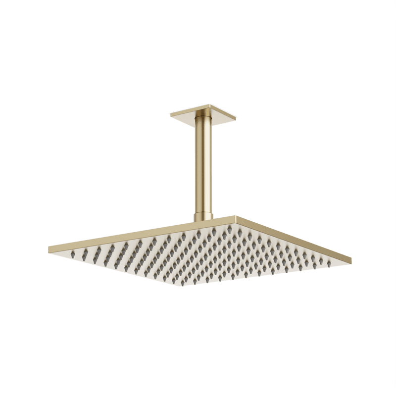 Edge 10" Rain Shower Head on Ceiling Mount Arm - Satin Brass image 1