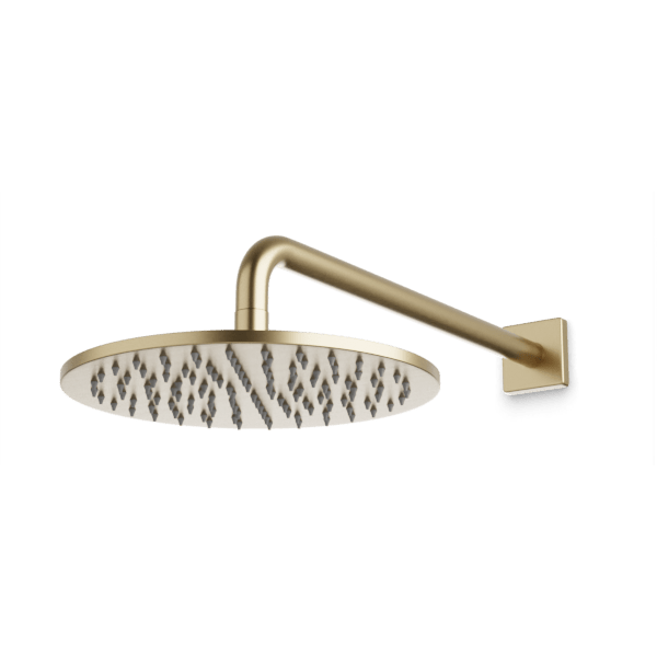 Otella 10" Rain Shower Head on Wall Mount Arm - F907-70SB image 1