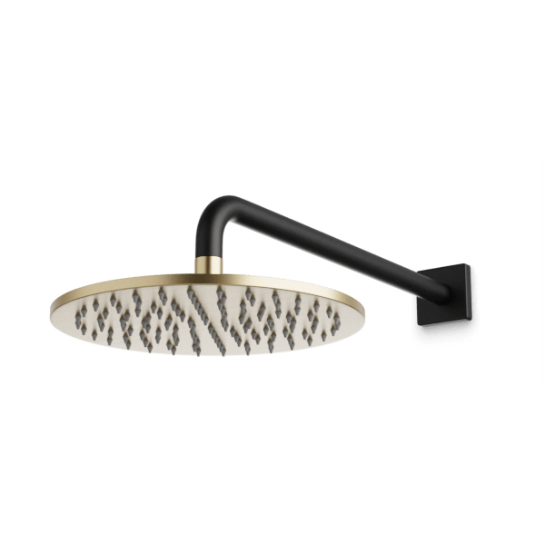Otella 10" Rain Shower Head on Wall Mount Arm - F907-70SBB image 1