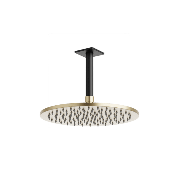 Otella 10" Rain Shower Head on Ceiling Mount Arm - Satin Brass/Matte Black image 1