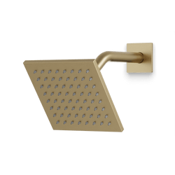 Edge 6" Shower Head on Angled Arm - Satin Brass thumbnail 1