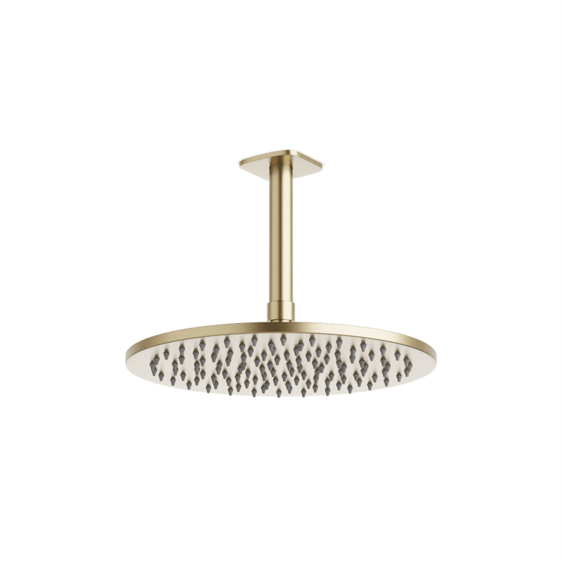 Harmony 10" Rain Shower Head on Ceiling Mount Arm - Satin Brass image 1