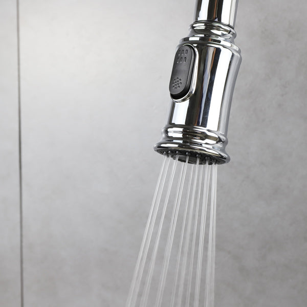 Classic Kitchen Faucet with Pulldown Spray - Chrome image 5