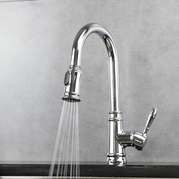 Classic Kitchen Faucet with Pulldown Spray - Chrome image 4