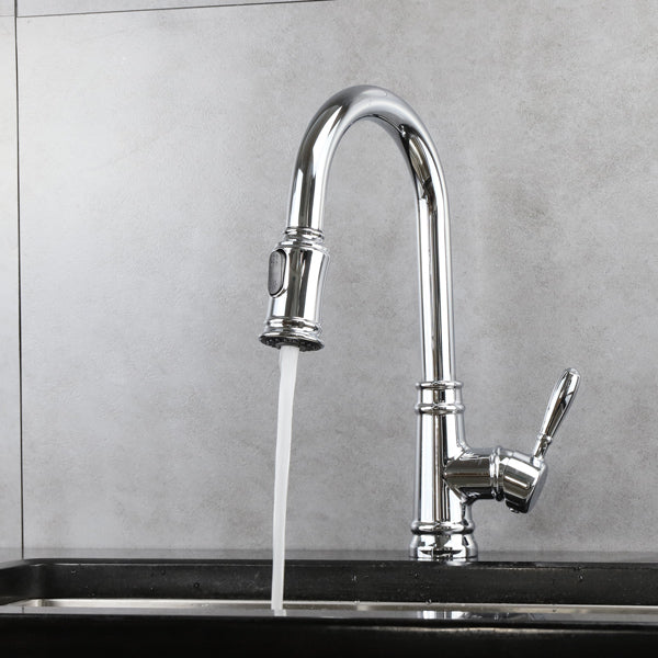 Classic Kitchen Faucet with Pulldown Spray - Chrome image 2